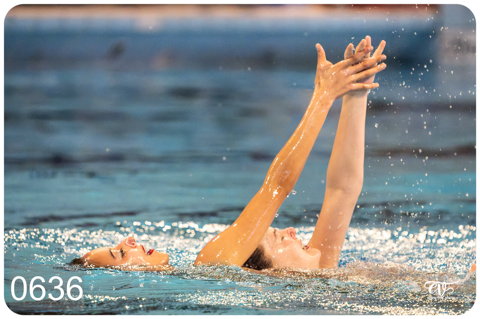 CHAMPIONNAT DE FRANCE DE NATATiON ARTISTIQUE N1 & ELITE 2026